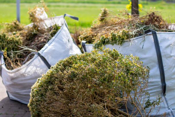 Best Construction Debris Removal  in Imperial, CA