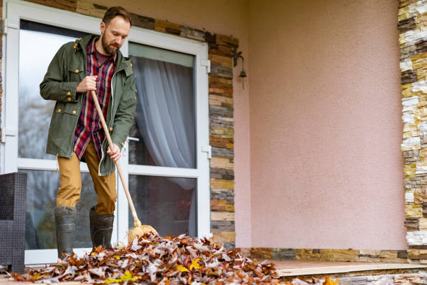 Best Dumpster Rental Services  in Imperial, CA